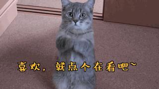 简单的衬衫这样穿也好看,衬衫怎么穿不要太好看