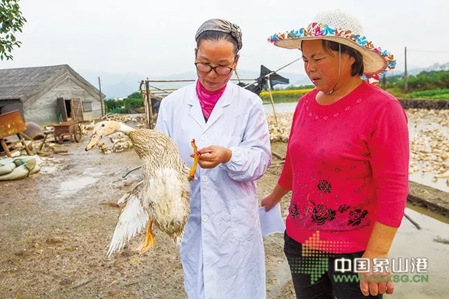 习*平近**总书记点赞的“人民满意的公务员”，有哪些*党**派成员？