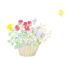 晨读美文每日一读,夜读人生最好的时光在路上