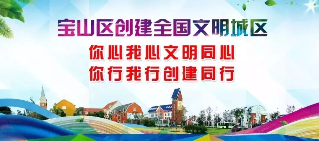 【在线访谈】传承金罗店文脉,打造长江口上的中国历史文化名镇