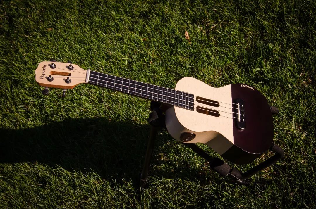 鏅鸿兘涔愬櫒鍏ラ棬,鏅鸿兘涔愬櫒瀛︿範