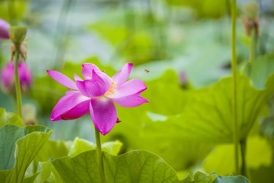 2019清华新雅书院录取标准,清华新雅书院怎么分班的