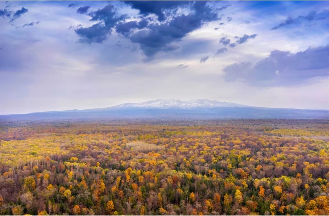 2.5浜垮勾鍚庣殑鍦扮悆鍙樺寲,涓滃寳鐏北鎬庝箞鍙樻垚绮粨