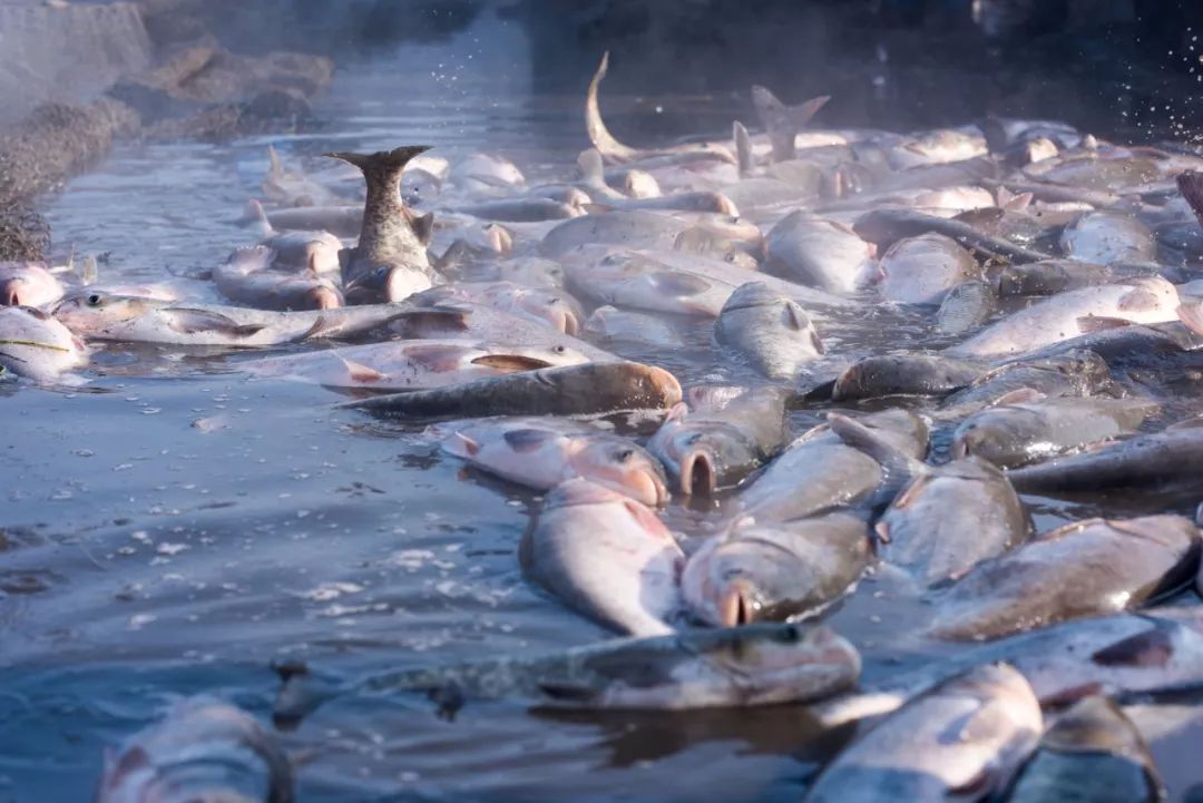 2.5浜垮勾鍚庣殑鍦扮悆鍙樺寲,涓滃寳鐏北鎬庝箞鍙樻垚绮粨