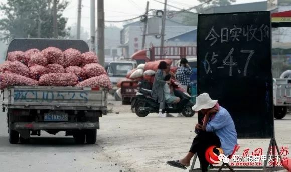今天，人民网聚焦邳州：小蒜头撬动百亿级大产业