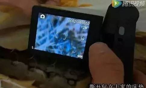 可怕！睡了10年的床垫掀开内部竟这样