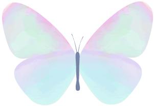 一双眼睛会拯救一张脸吗,一双眼睛是否能拯救一张脸