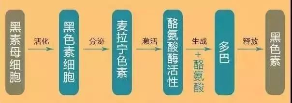 血橙保湿沐浴露,血橙氨基酸沐浴露推荐
