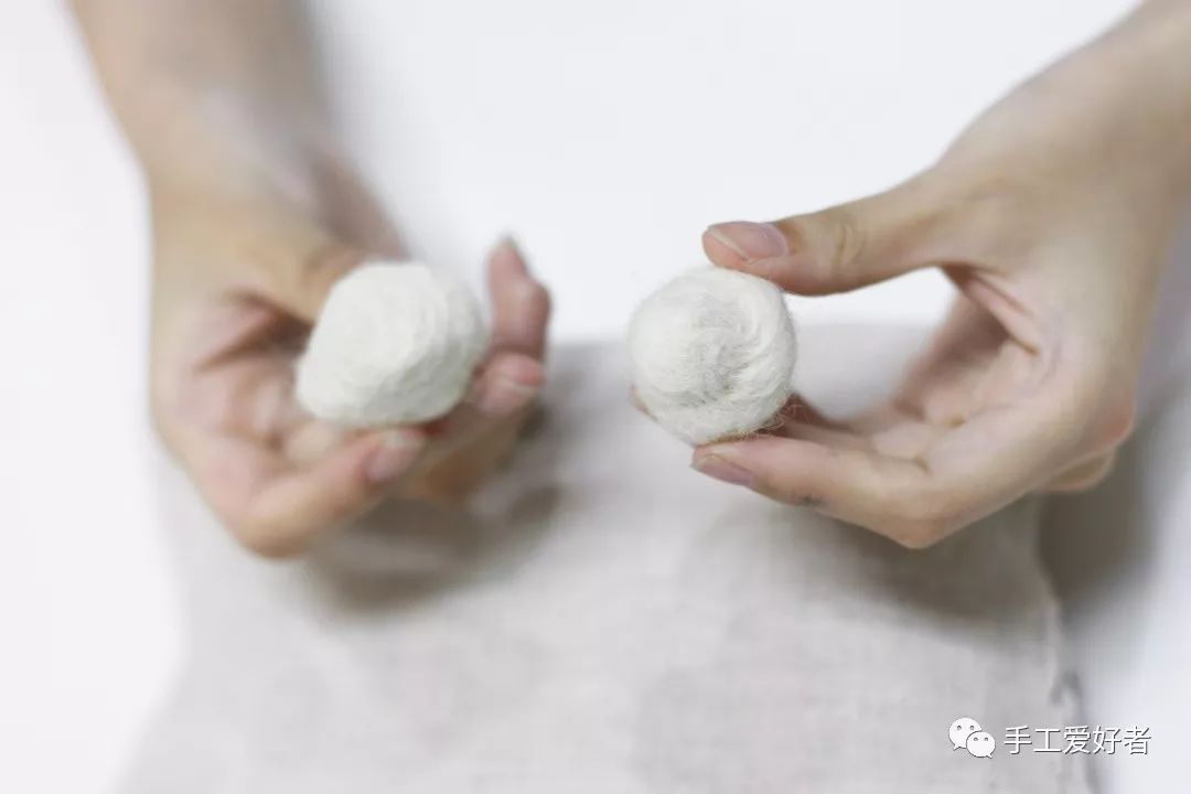 一只鹦鹉的训练过程,怎么快速教小鹦鹉自己吃