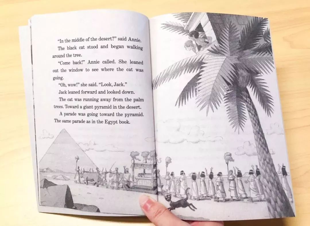 树屋英文原版书单推荐,英文童书神秘树屋