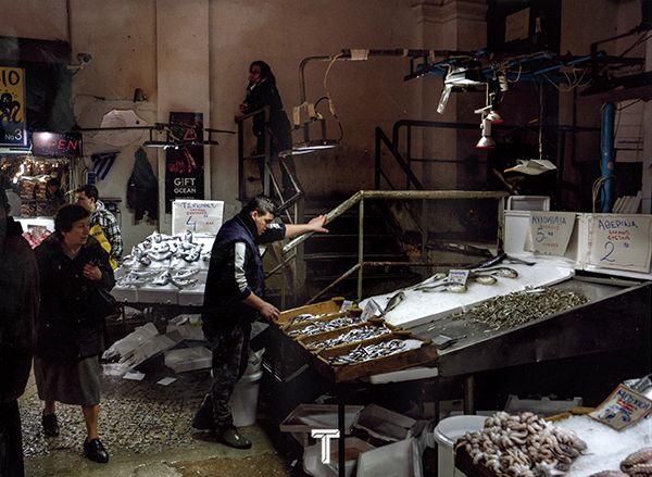 伊萨卡岛上摇曳的橄榄树林，带来了奥德修斯的声音，他没有死去