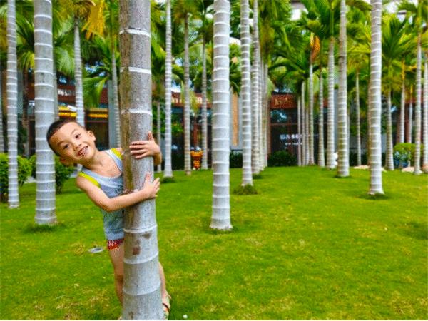 三亚浪漫游玩攻略,三亚浪漫环游记