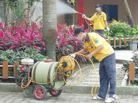 假期出游注意登革热,出门旅游提防登革热