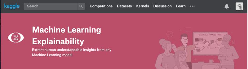 可解释的机器学习算法模型,能讲解应用题的学习机