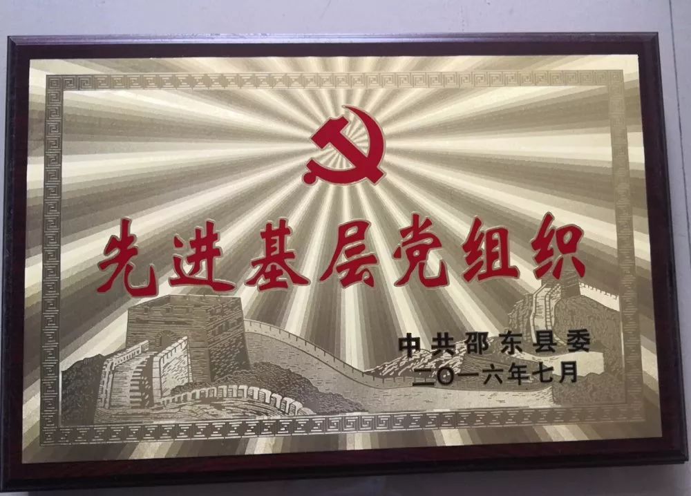 基层支部战斗堡垒,禁毒大队党支部开展学习