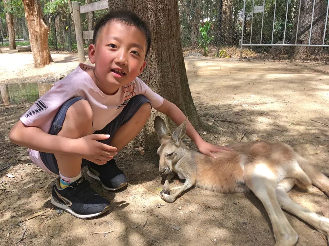初二休学一年环游世界,夫妻休学带孩子环游世界