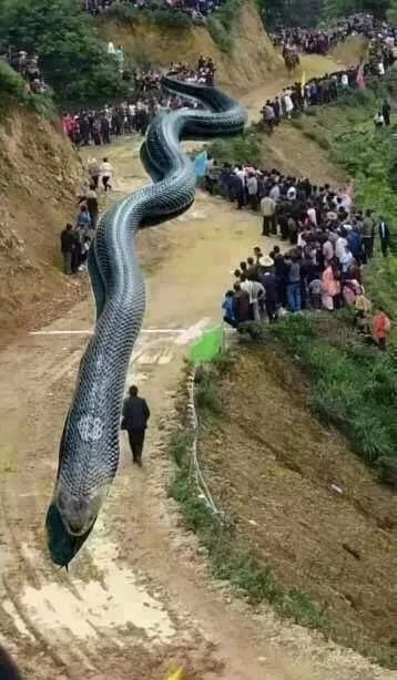 这是六月最大的谣言！最后一条已经骗了我们十几年