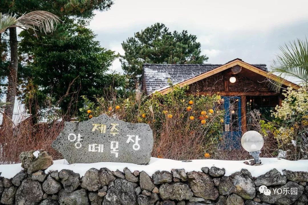 住帐篷一起看星星,住蒙古包看星星的地方