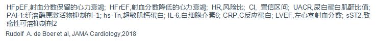 「2019CIHFC」高传玉教授：HFpEF诊断治疗新进展