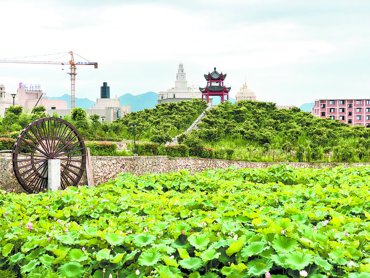 十美村庄,一起来看看家乡美不美