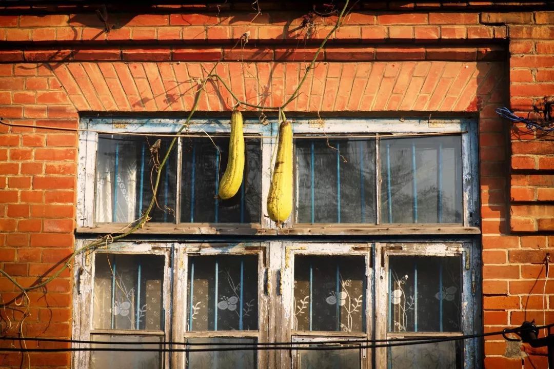 自驾到厦门的感受,自驾游去厦门需要注意什么