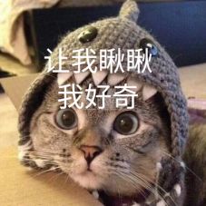 电动车能载200多斤吗,电动车能上牌为什么说超重