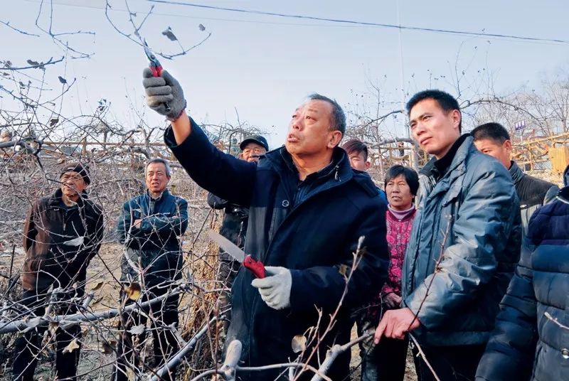 感悟自己的初心使命,初心与使命是一脉相承吗