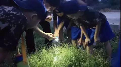 来西双版纳，做大自然的学生|雅居乐·西双林语夏令营开始报名啦