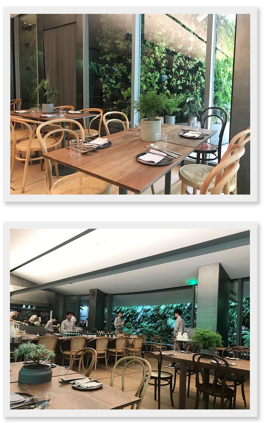 上海小南门探店,上海探店吃到白冰吃过的芝士