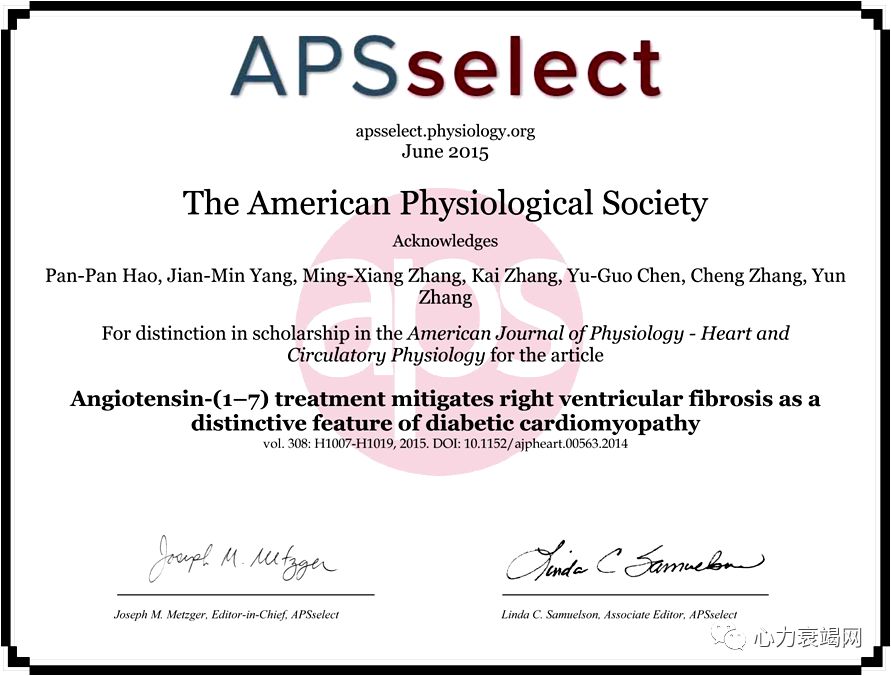 「2019CIHFC」张运教授:ADAM17—糖尿病性心肌病干预的新靶点