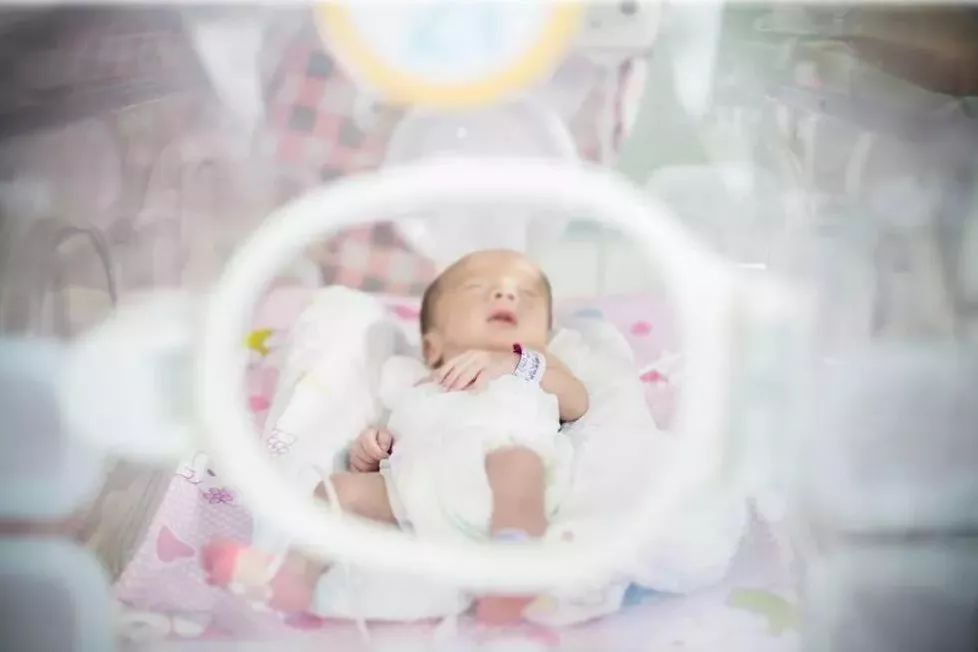 生命启航的避风港——滨医附院新生儿病区