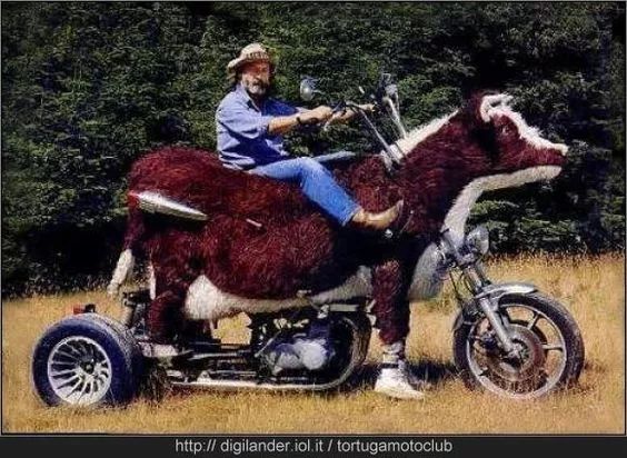 最奇怪搞笑的车,世界上又搞笑又可怕的汽车