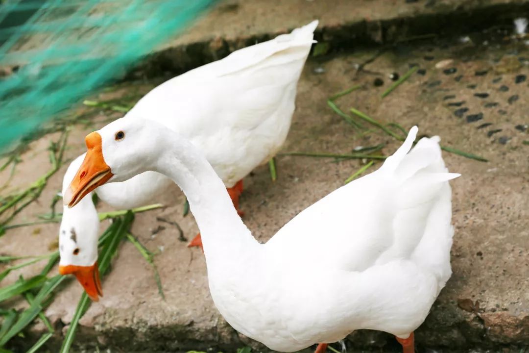 魔都最新网红地,魔都新晋打卡