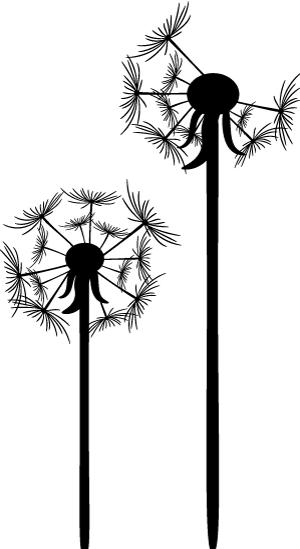 本想杀菌，瓜却死了？！农药药害引纠纷，到底谁的错？