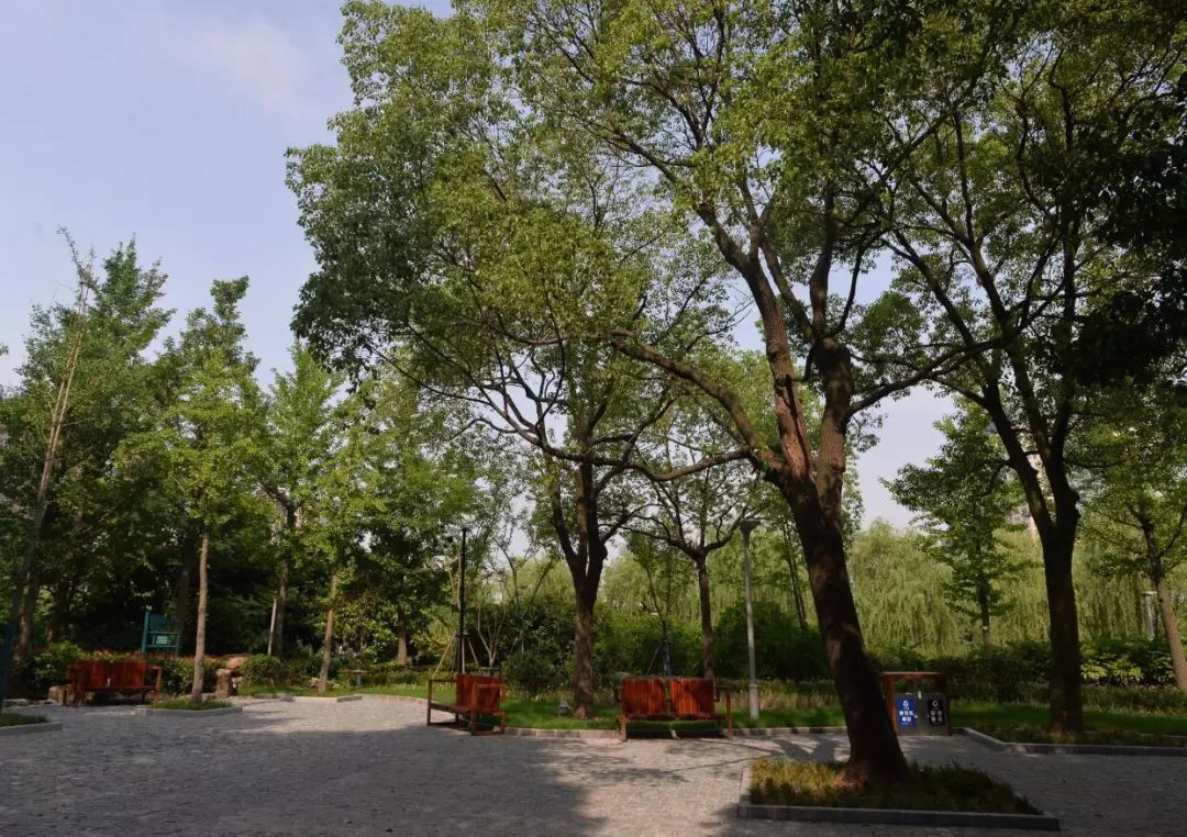 虹桥河滨公园门票多少钱,虹桥河滨公园最新消息