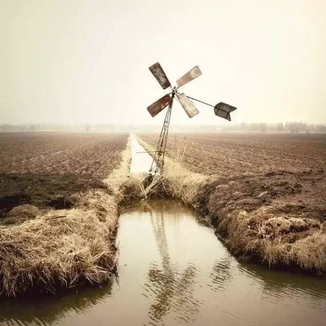 梁实秋生活中的视频,梁实秋论中年