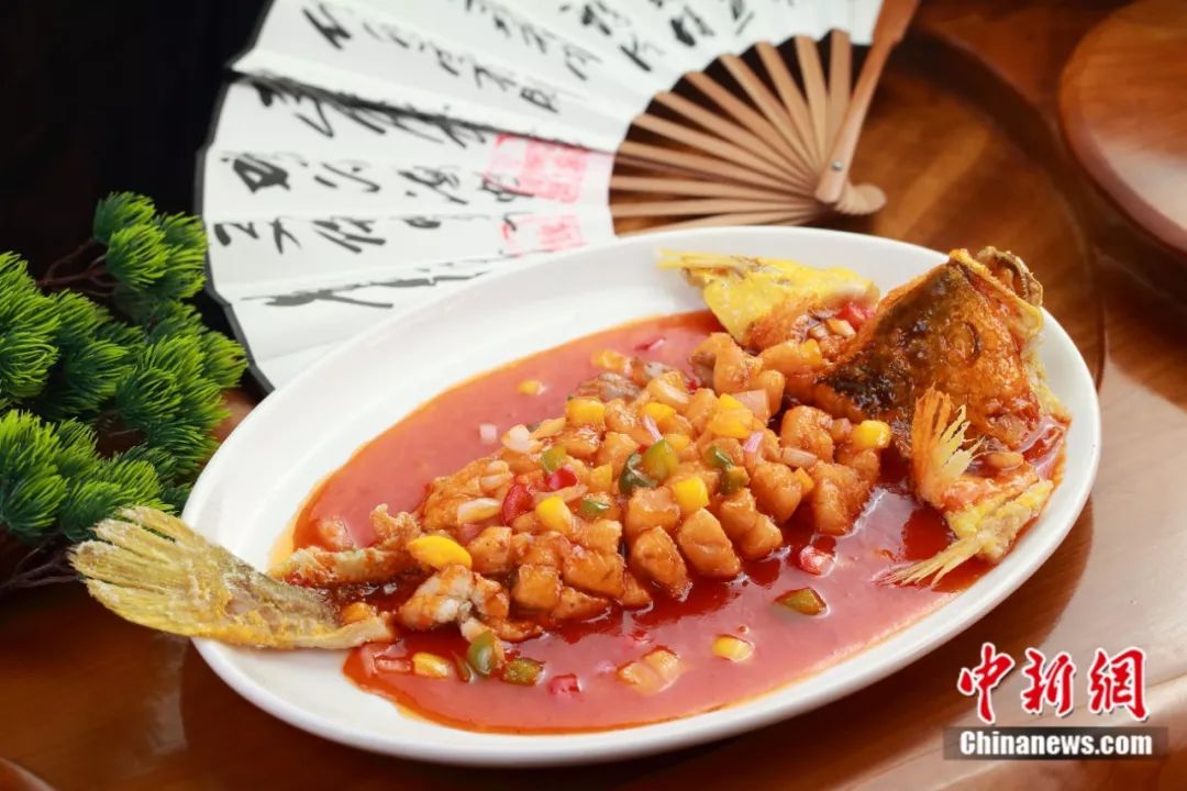 福建有约,福建与世界有约视频