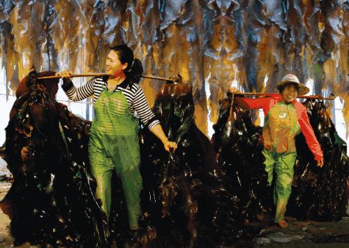 福建有约,福建与世界有约视频