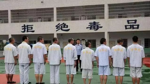 【你问我答】堂哥吸*毒冰**、赌博，还殴打父母，怎么才能把他直接送去强制戒毒？