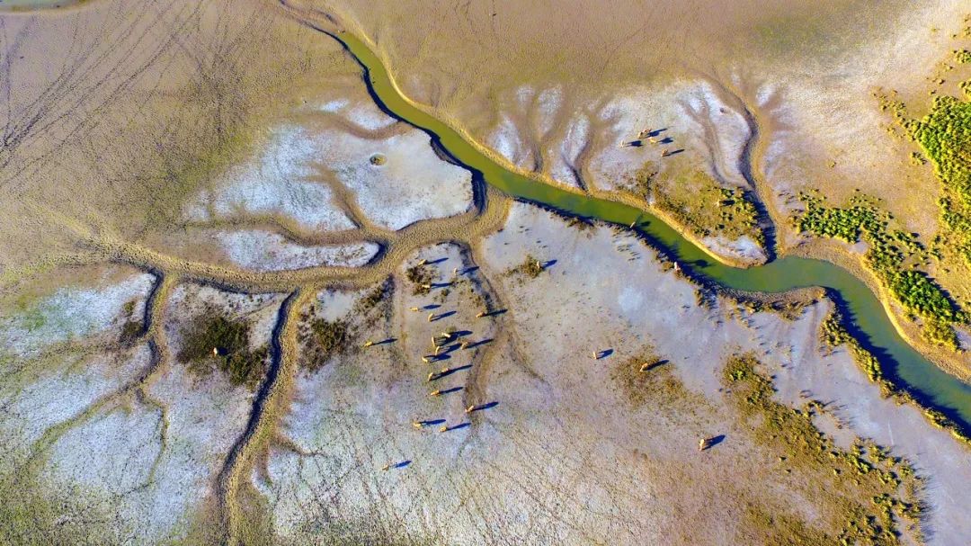 江苏的世界遗产旅游景区,江苏哪些地方被列入世界文化遗产