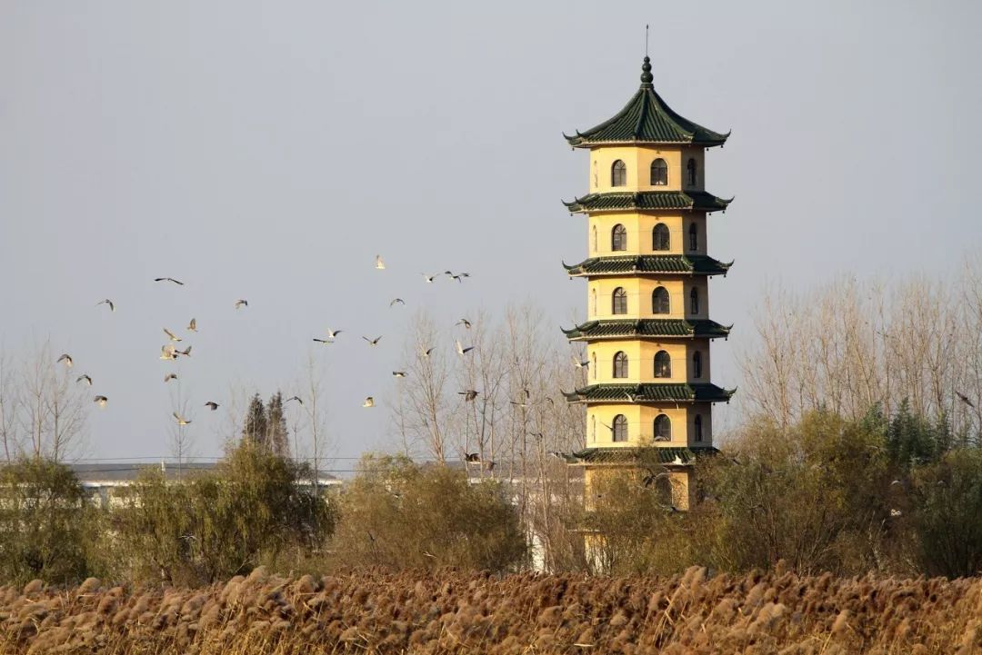 江苏的世界遗产旅游景区,江苏哪些地方被列入世界文化遗产