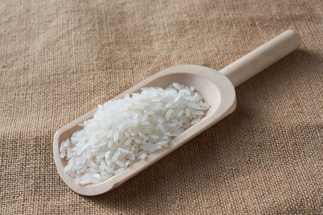 米里发现小黑虫,家里米缸里有黑色虫子如何消灭