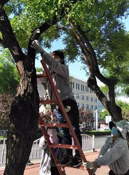 走一会脚底麻怎么回事,脚底起一堆小泡泡怎么治疗