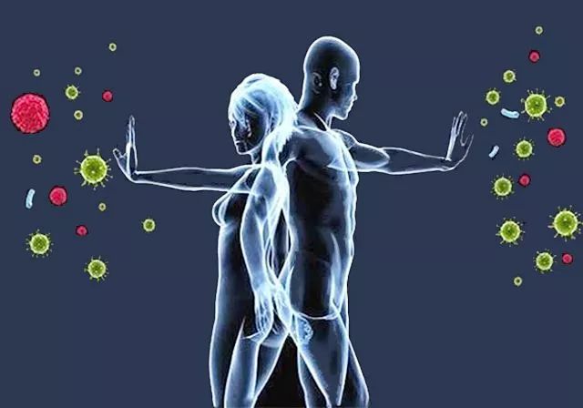 狼来了应该怎么对付,狼来了没什么可怕的