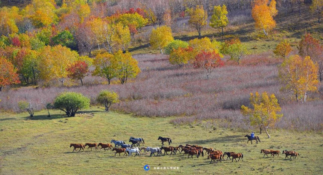 岳额日敦木图:这是美丽家乡科右中旗