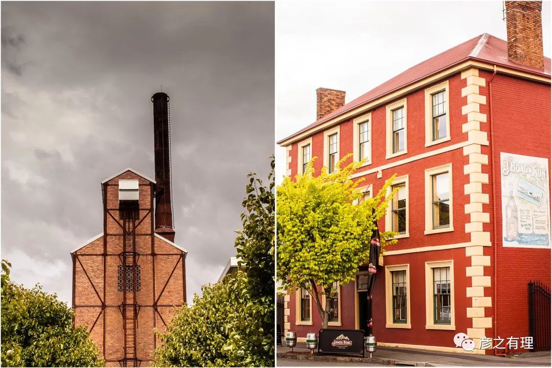 澳洲考拉奶粉好吗,澳洲龙虾奶粉