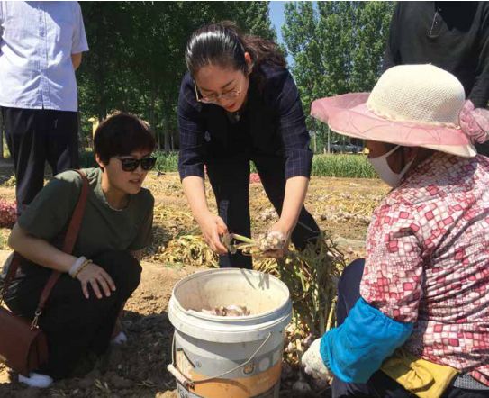 省地理标志产业协会会长孙明香,孙明香地理标志