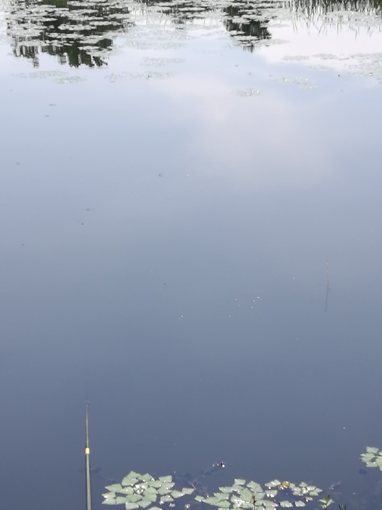 头顶烈阳开拓钓位逐泡寻鲫放流可怜鱼获