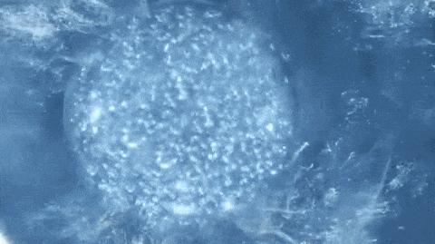 每7秒卖出一瓶的口碑护肤品升级了？是在搞噱头吗？|AD