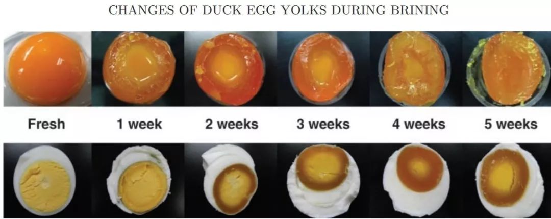 咸鸭蛋能不能只用盐来做,腌咸鸭蛋最快的方法